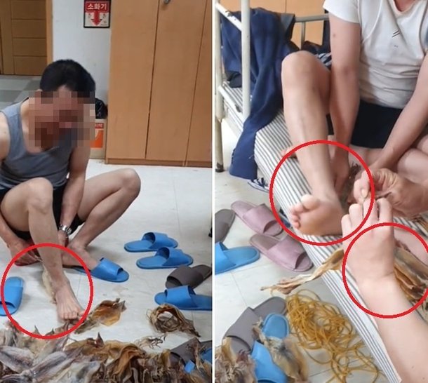 경상북도 포항시 남구 구룡포읍 수산시장, 베트남 외국인 노동자 마른 오징어 맨발 꾹꾹 틱톡 영상 논란.