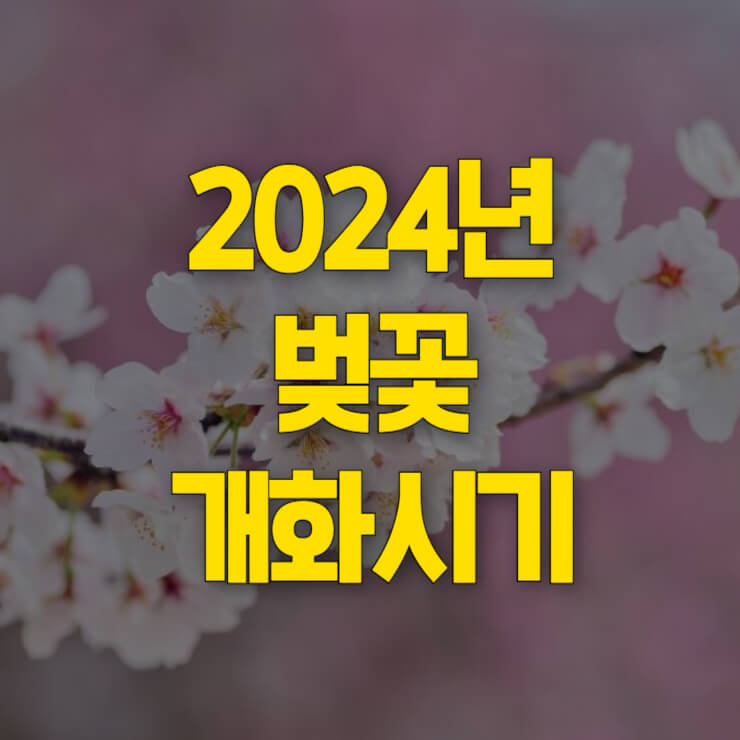 벚꽃-개화시기-2024-대표사진
