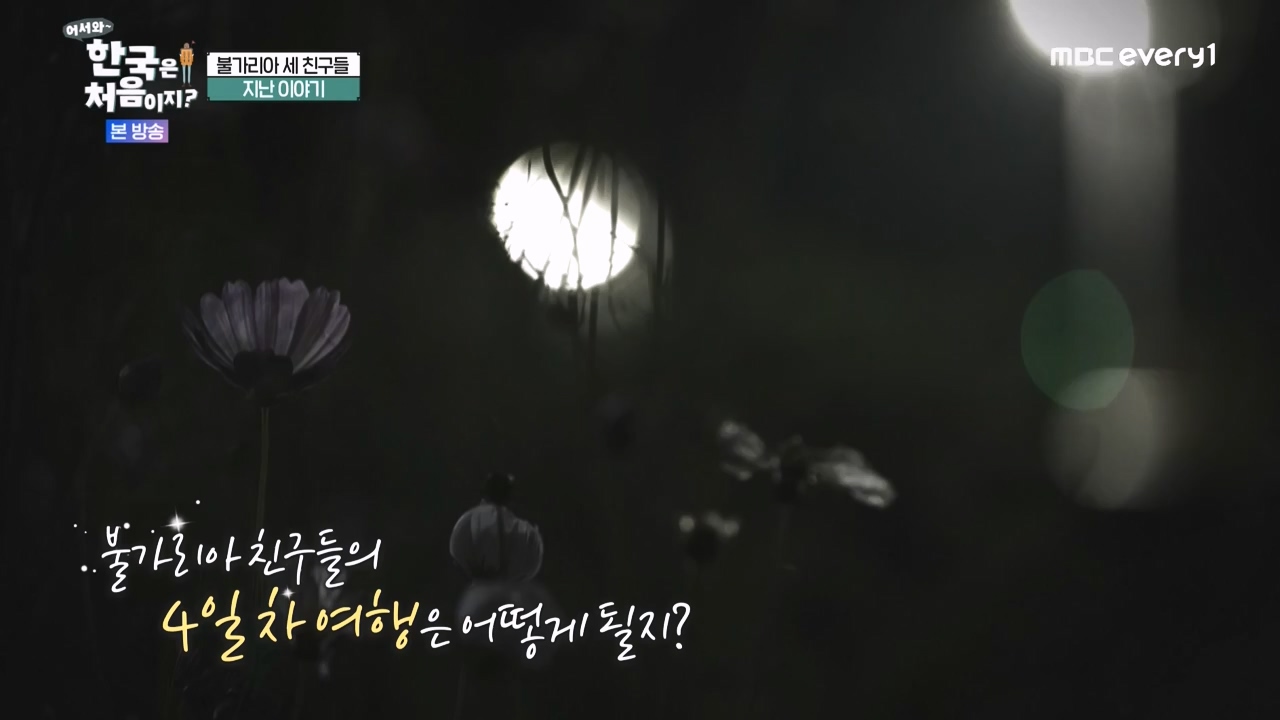 어서와 한국은 처음이지 시즌2.E283.231006p-NEXT.mp4_20231006_203336.048.jpg