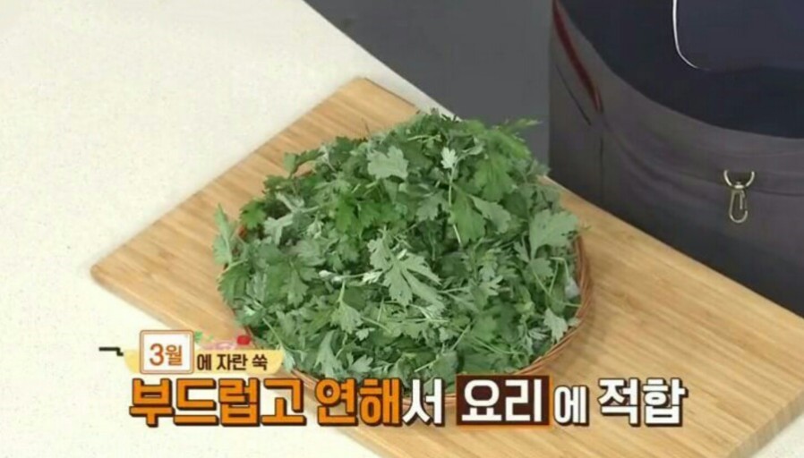 봄나물 종류와 효능 고추냉이 진정