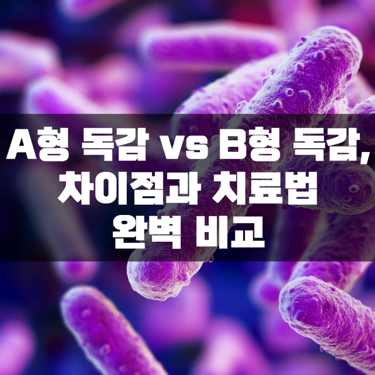 A형 독감 vs B형 독감, 차이점과 치료법 완벽 비교