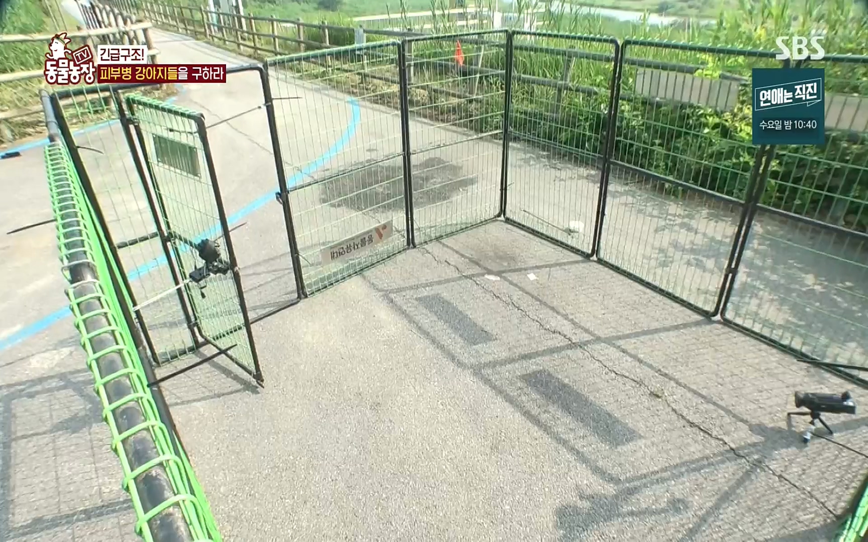 TV 동물농장.E1081.220807p.H264-F1RST.mp4_20220807_213641.182.jpg