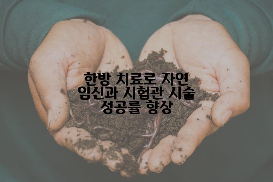 한방 치료로 자연 임신과 시험관 시술 성공률 향상