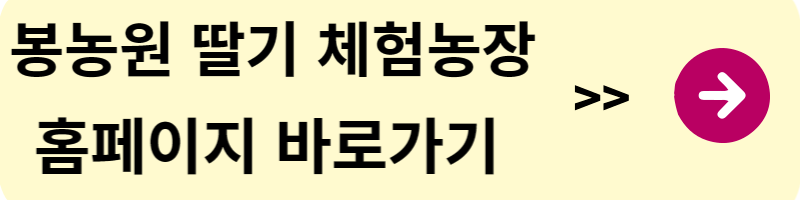 딸기 체험농장 추천