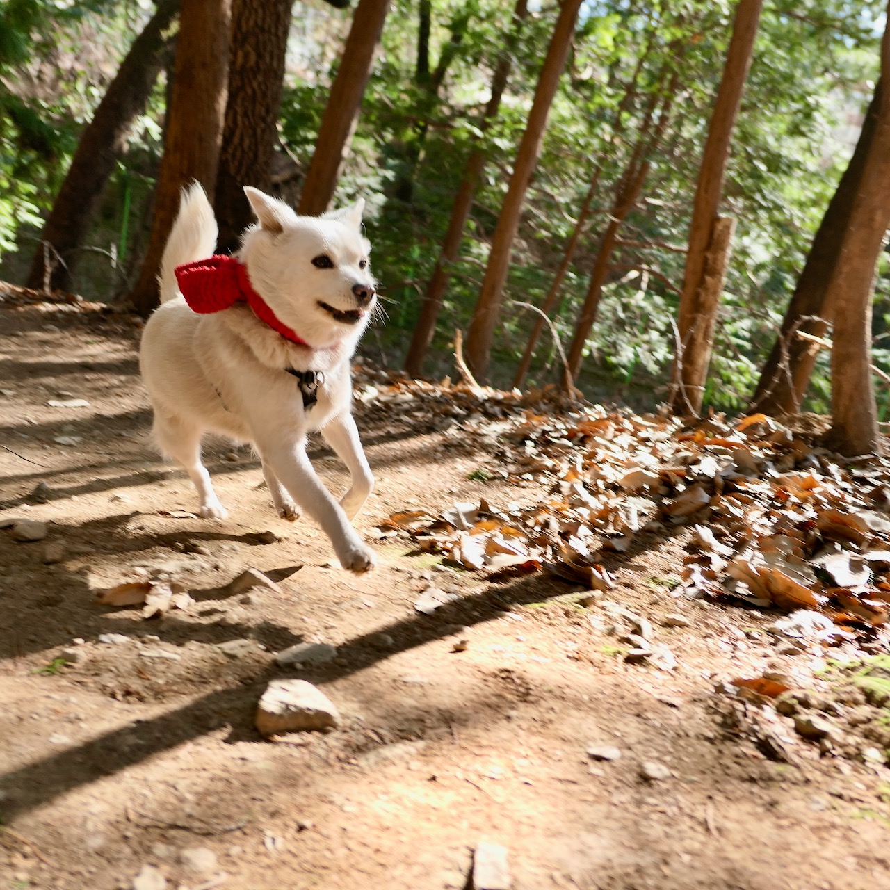 신난 밀리네요