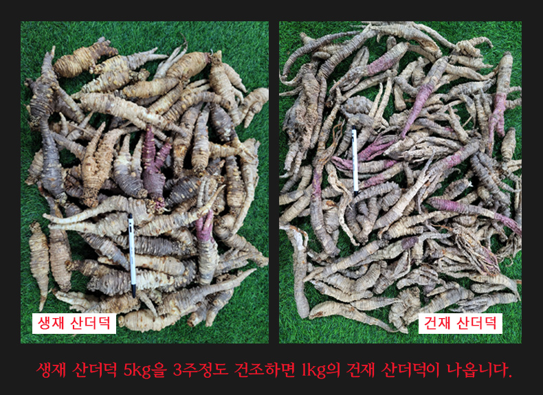 베스트 건재 이미지