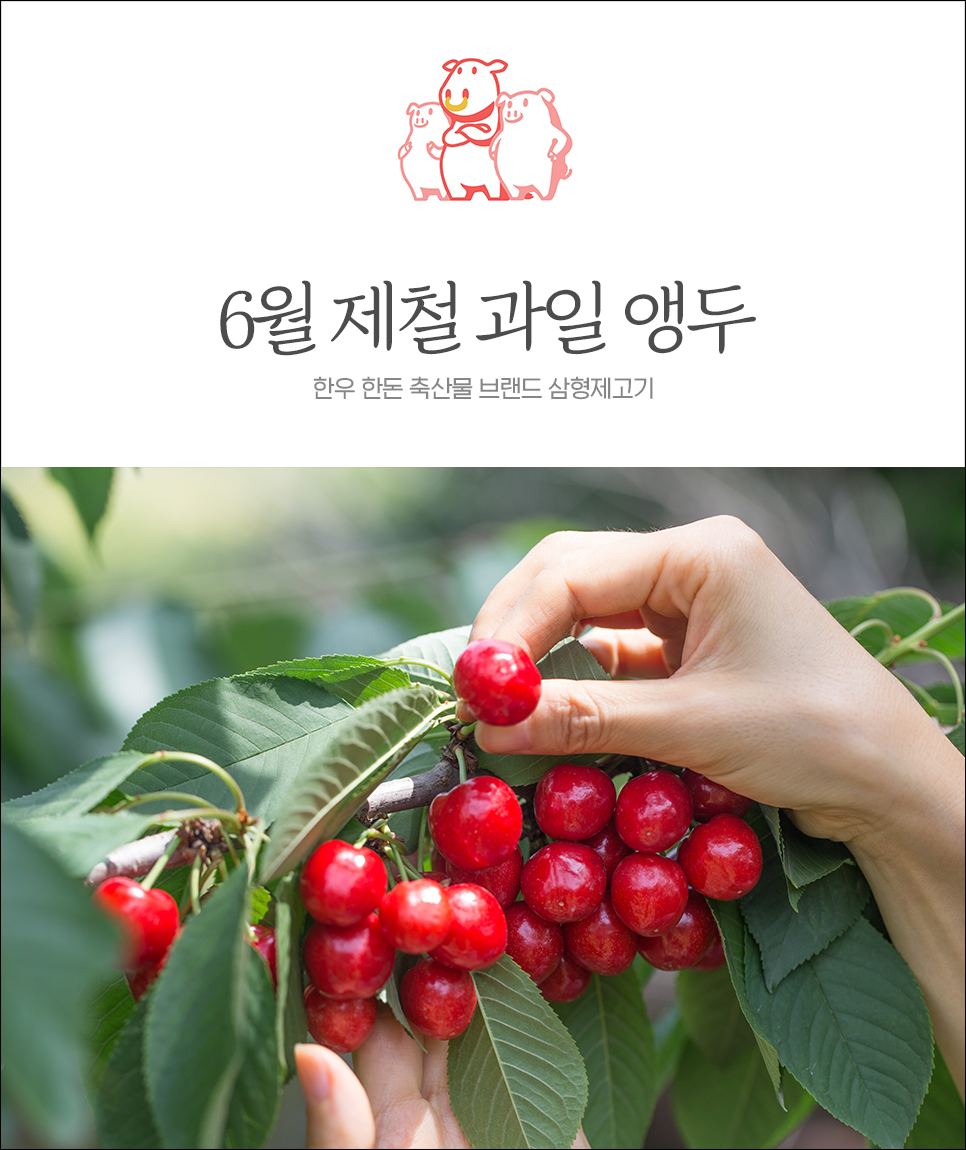 이맘때 과일 이미지