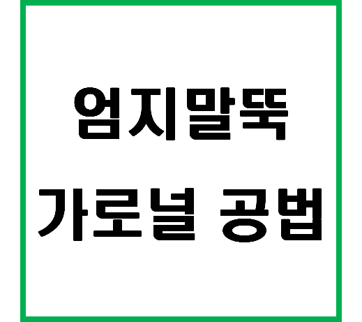  엄지말뚝 가로널 공법