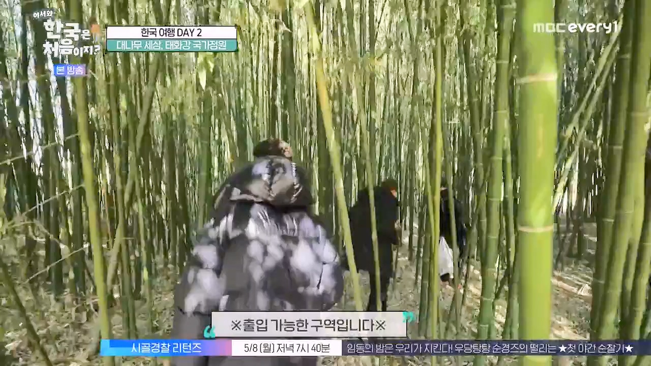 어서와 한국은 처음이지 시즌2.E261.230505p-NEXT.mp4_20230505_175306.415.jpg