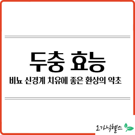 두충 효능