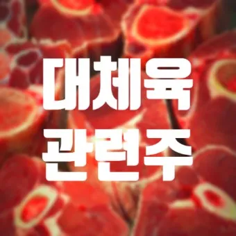 배양육 대장주 관련주 TOP5 총정리_27