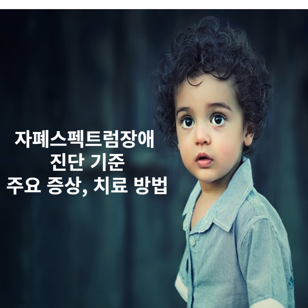 자폐 스펙트럼장애 진단기준&#44; 주요 증상&#44; 치료 방법