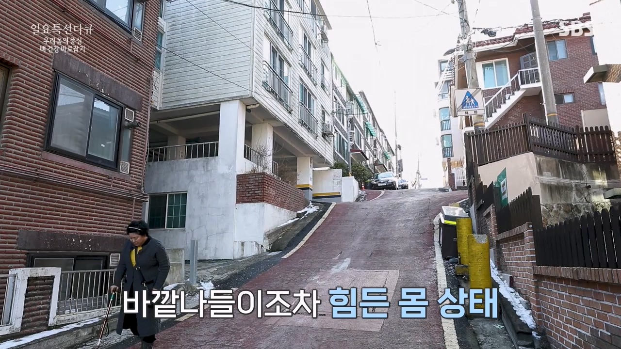 일요특선 다큐멘터리.E339.240205p-NEXT.mp4_20240206_205057.731.jpg