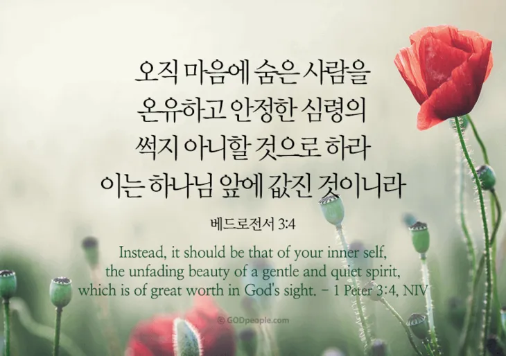 베드로전서 4장 청지기의 비유 성경 묵상_6