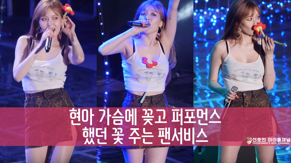  현아 가슴에 꽂고 퍼포먼스 했던 꽃 주는 팬서비스 (한국외대 축제)