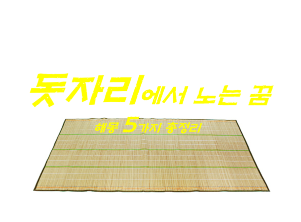  돗자리꿈 해몽 5가지 총정리
