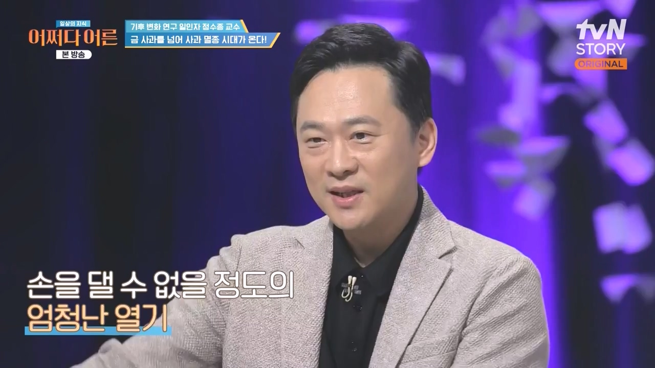 어쩌다 어른.E55.240508p-NEXT.mp4_20240508_205347.393.jpg