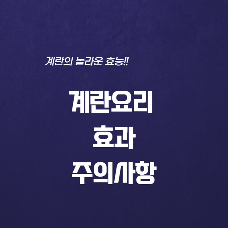 계란요리 효과와 주의사항 관련 썸네일