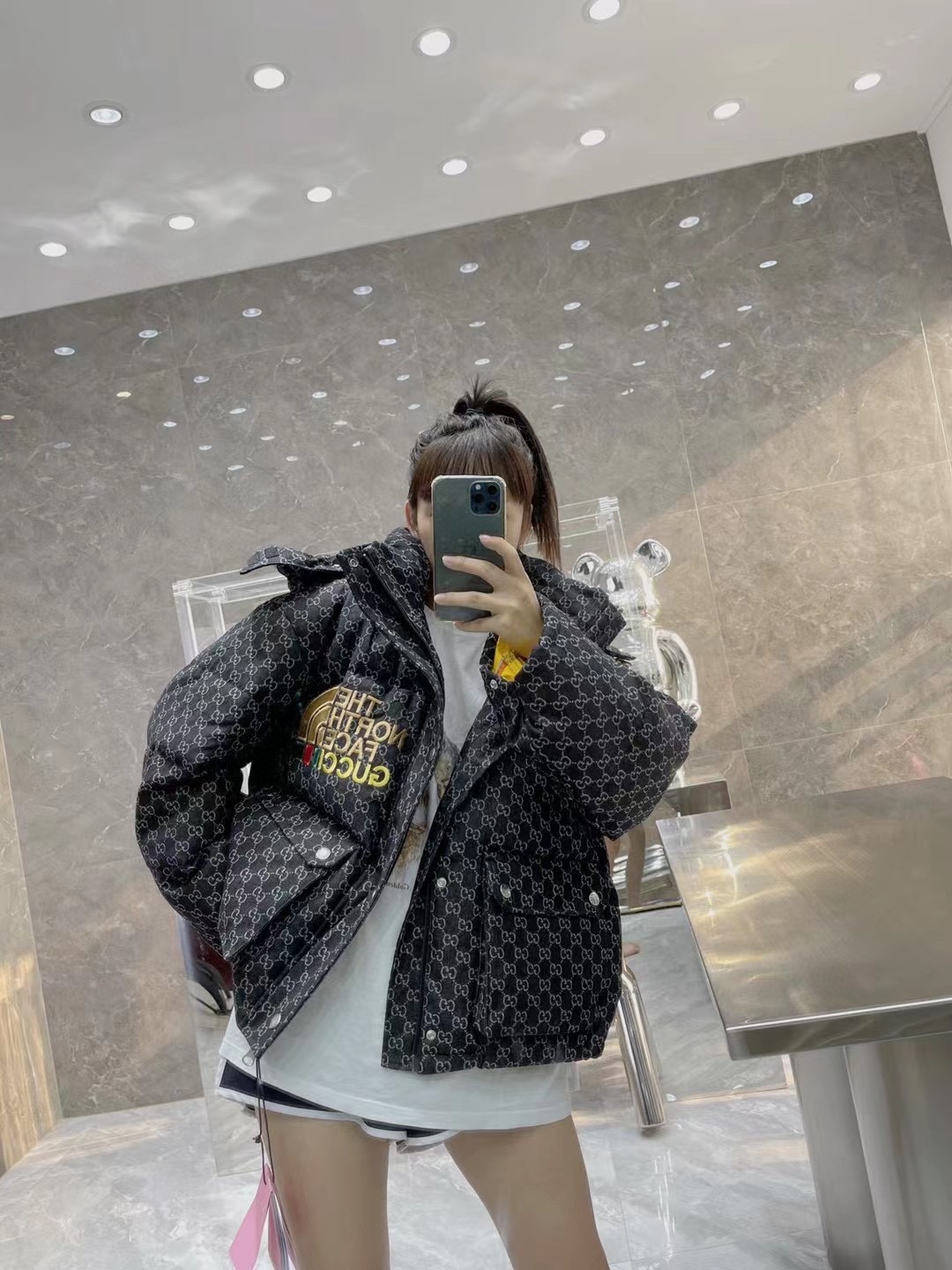  [GUCCI x THE NORTH FACE] 구찌 X 노스페이스 자카드 다운 패딩 자켓 블랙