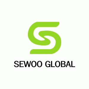  [주식 공부 33일차] 홍준표 관련주 - 세우글로벌 재무제표 분석