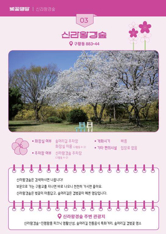 벚꽃-명당-신라왕경숲