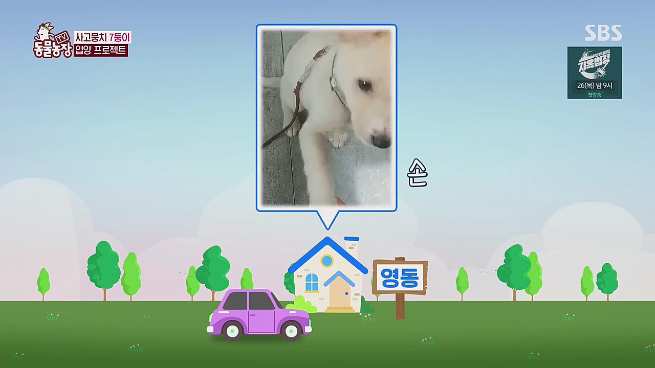 TV 동물농장.E1104.230123p.WANNA.mp4_20230123_195423.835.jpg