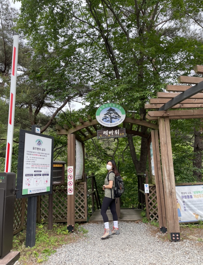 여름산으로 추천하는 괴산 칠보산(778m) 숲속을 거니는 듯 시원해 31