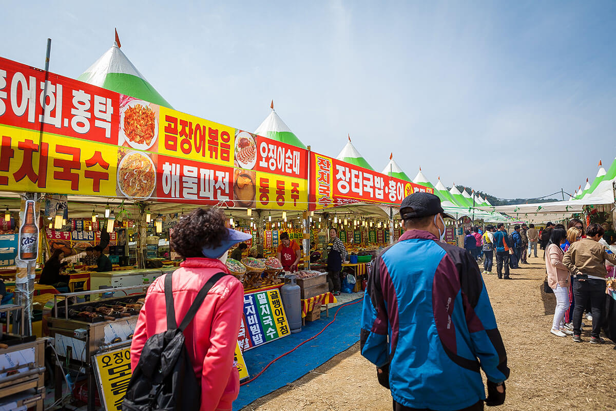 경포호벚꽃축제-강릉개발공사 출저