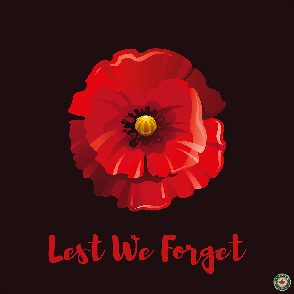  리멤버런스 데이 Remembrance Day 날짜, 유래, 양귀비, 주요 행사