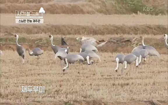 [3회] 자연의 철학자들 - KBS새처럼 살고 싶어라] 자연이라는 위대한 법당에서 숲의 울림, 새들의 소리를 들으며 깨달음을 얻은 도연 스님.ts_20220320_153103.878.jpg