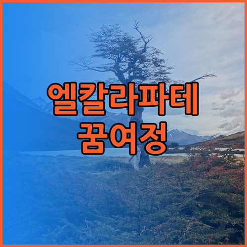 아르헨티나 엘칼라파테 여행 최고의 선