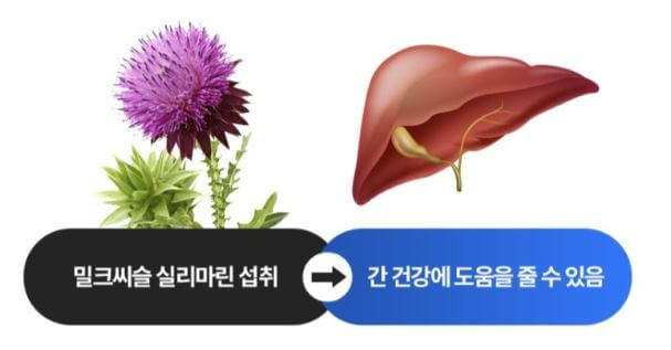 간 건강