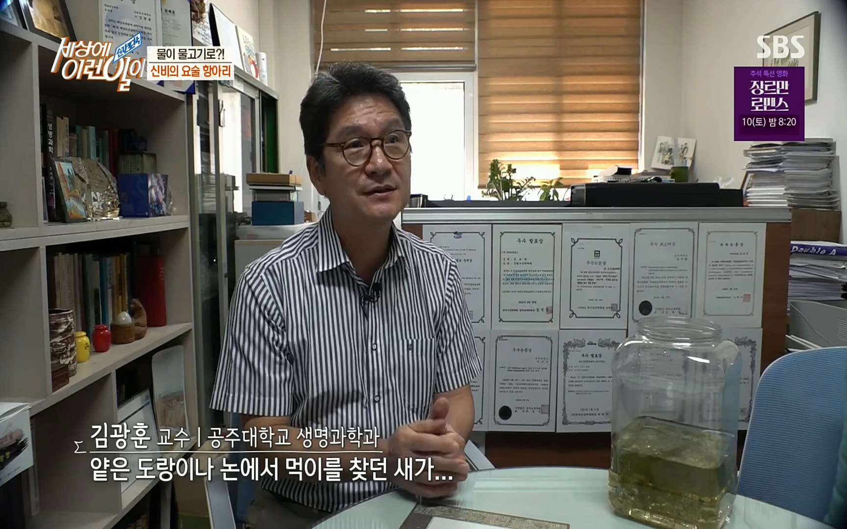 순간포착 세상에 이런일이.E1196.220906p.H264-F1RST.mp4_20220907_203328.594.jpg