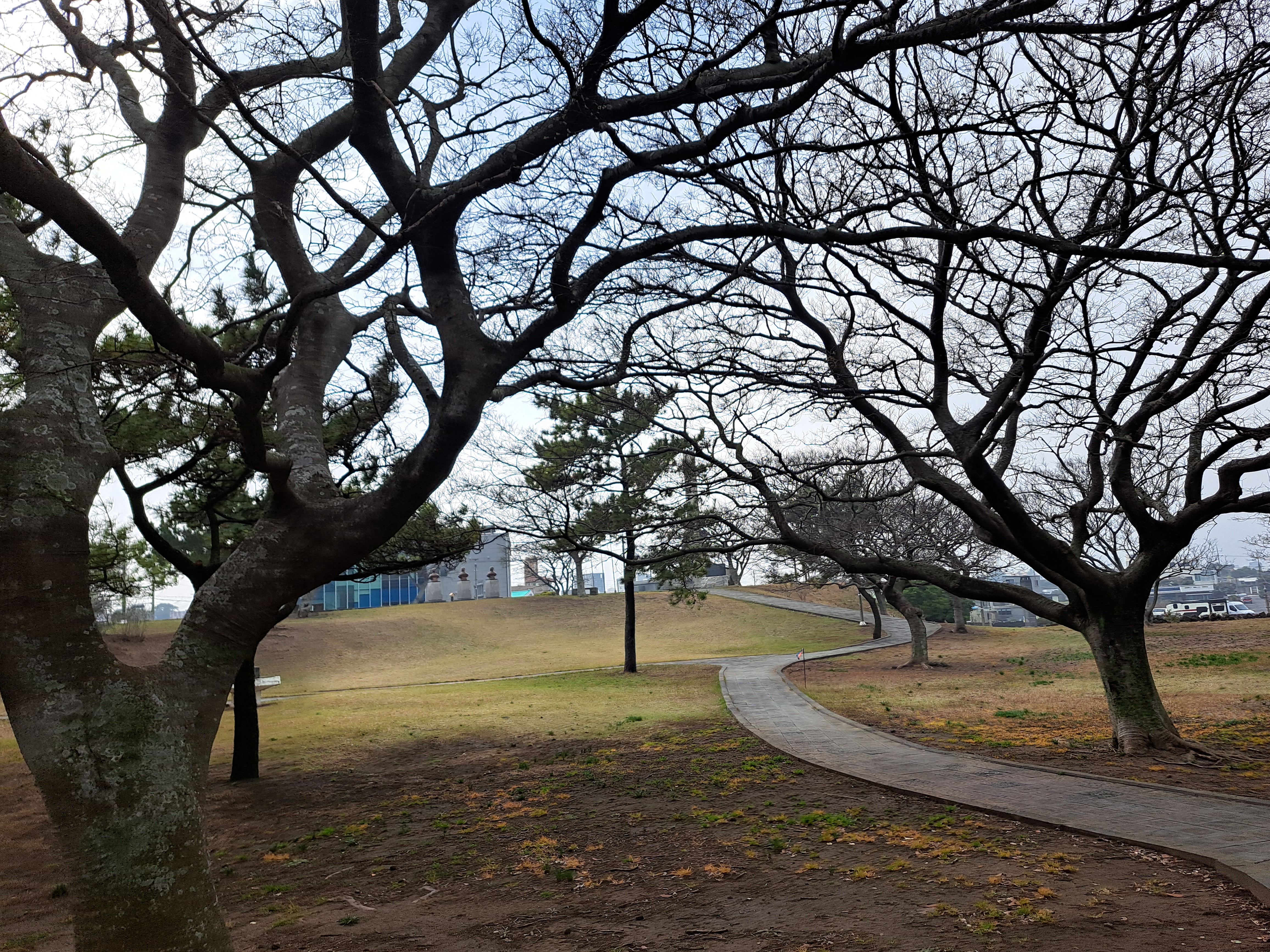 제주해녀항일운동공원 ~ 세화해수욕장 ~ 124