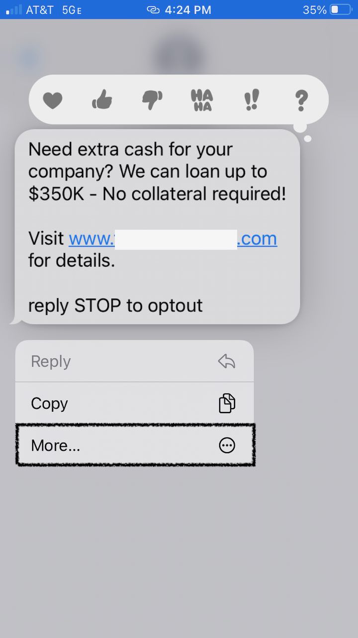 screenshot of iPhone Message&#44; showing options after pressing and holding a message bubble