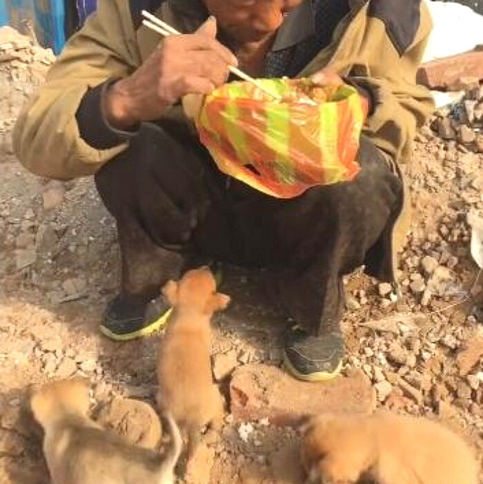 "굶고 있는 새끼 강아지들에게 음식 나누어 주는 노숙자 할아버지의 슬픈 사연" 오늘도 음식을 구하기가 어려워 겨우 구한 음식을 꼬물이들에게 먹이는 모습에 사람들은 가슴이 먹먹해집니다.