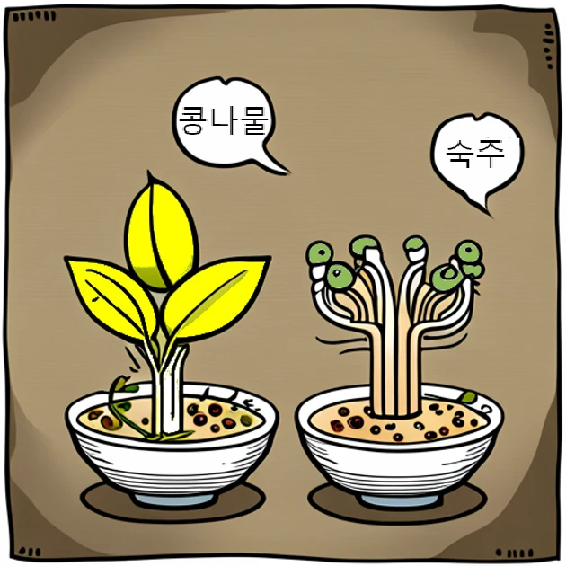 숙주나물 콩나물 차이점