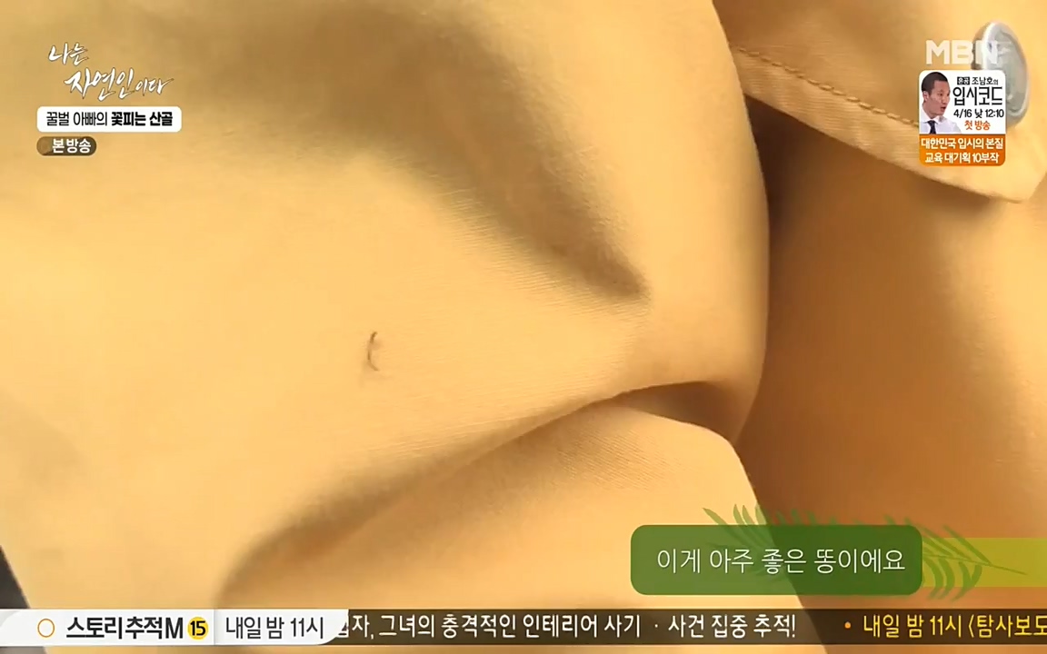 나는 자연인이다.E497.220414p-NEXT.mp4_20220414_182342.958.jpg