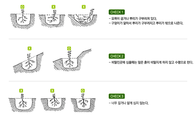 식재방법