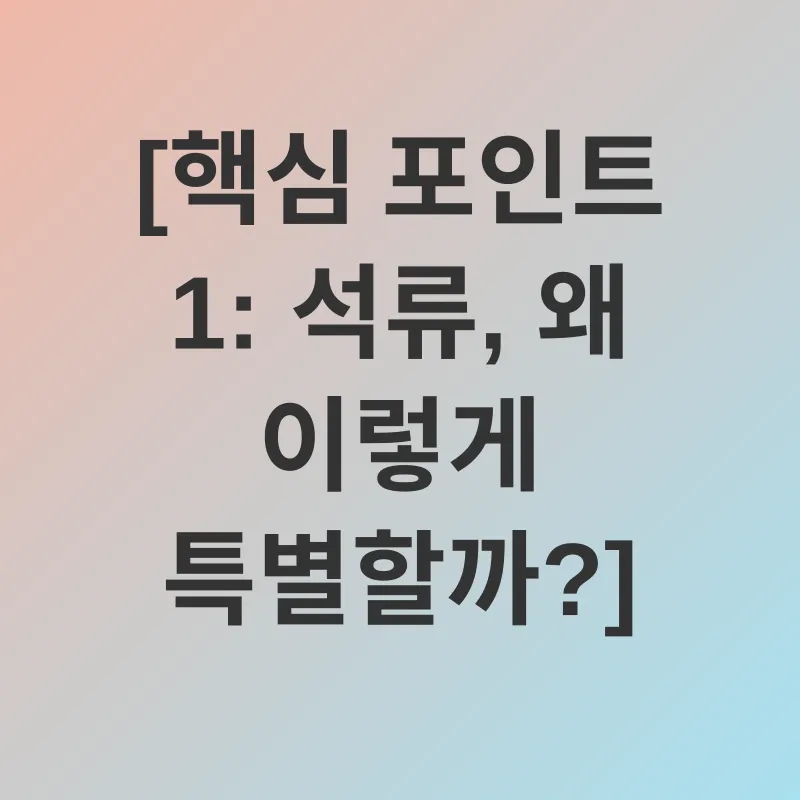 석류의 효능_1