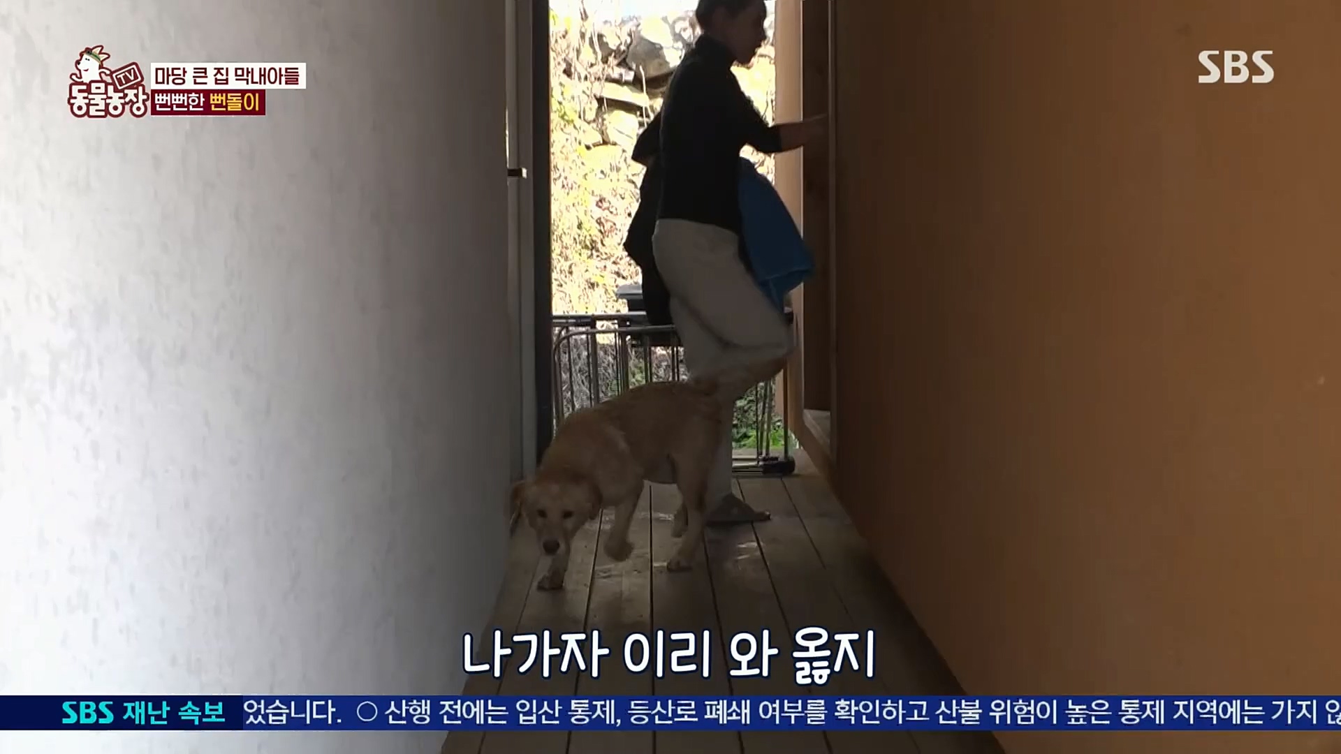 TV 동물농장.E1098.221204p.H264-F1RST.mp4_20221204_175405.554.jpg