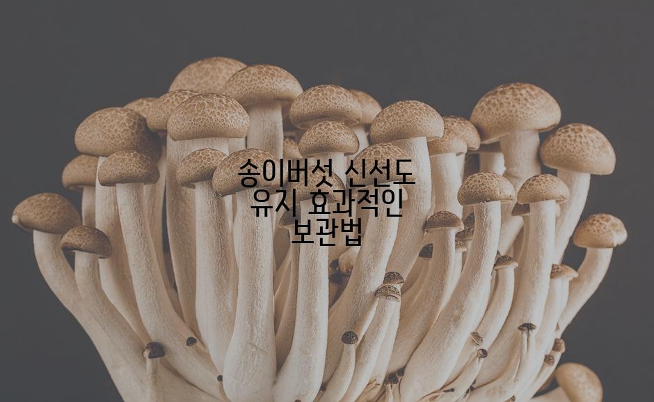 송이버섯 신선도 유지 효과적인 보관법