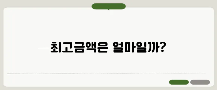 기초연금 최고금액