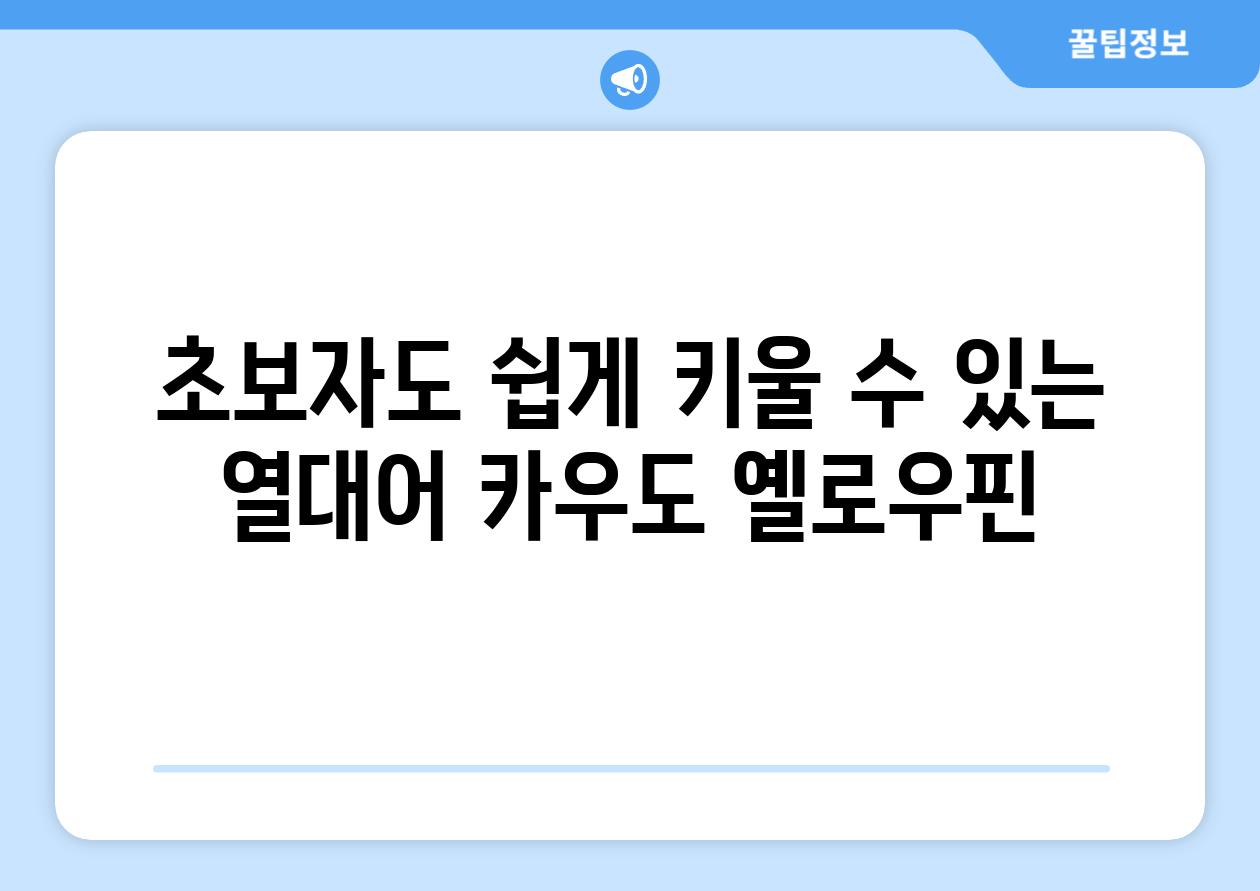 초보자도 쉽게 키울 수 있는 열대어, 카우도 옐로우핀