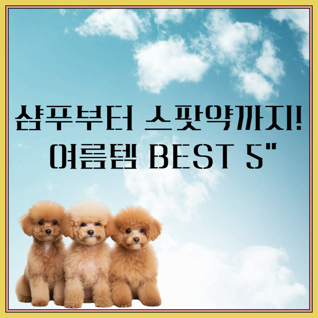 “샴푸부터 스팟약까지! 여름템 BEST 5”