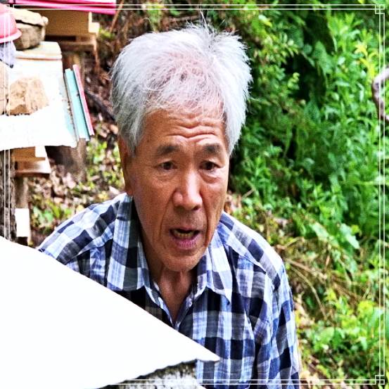  나는 자연인이다 트리하우스, 황토찜질방, 폭포 아래 바다 수영, 거대 괴물 산삼, 능이 닭칼국수, 수박화채 거침없이 산골로 직진 자연인 라등용 및 이승윤 출연 564회 다시보기