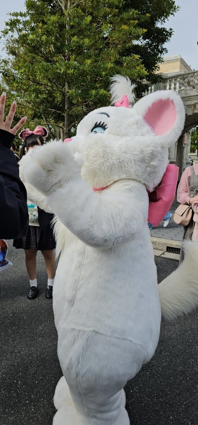 img.jpg