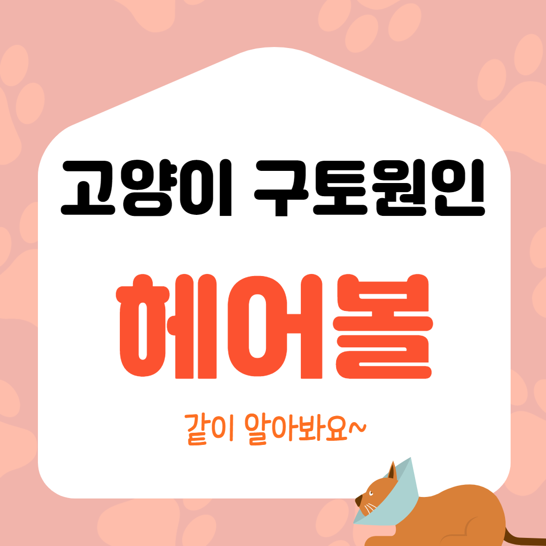  고양이 헤어볼 자세하게 알아봐요