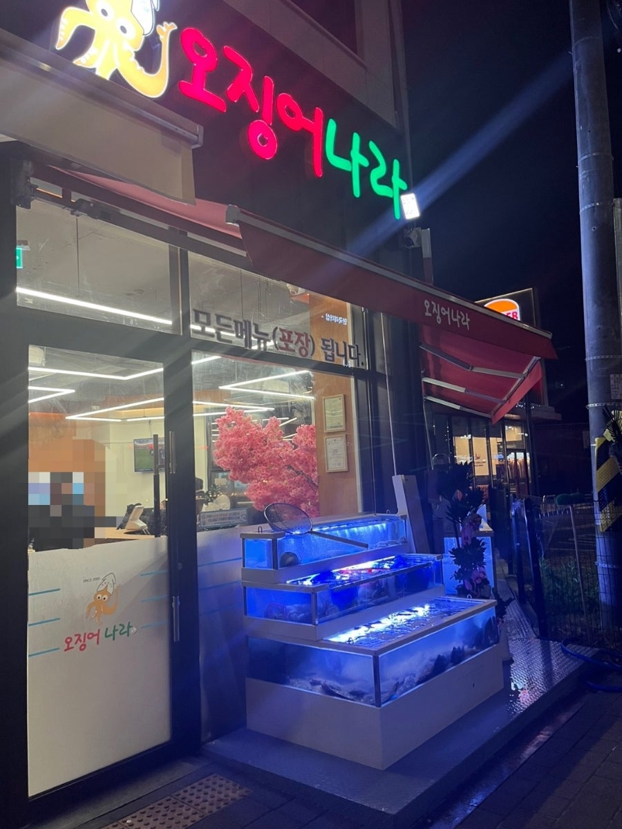 오징어나라 이미지