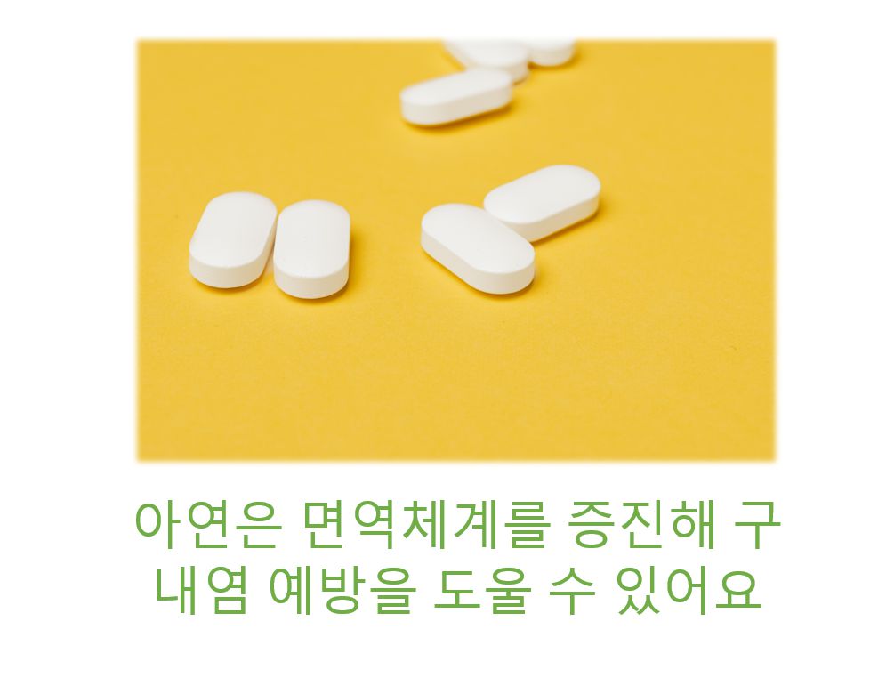 영양제 사진